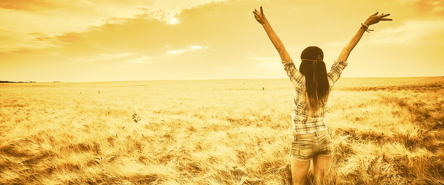 Sunrise field representing renewed team energy