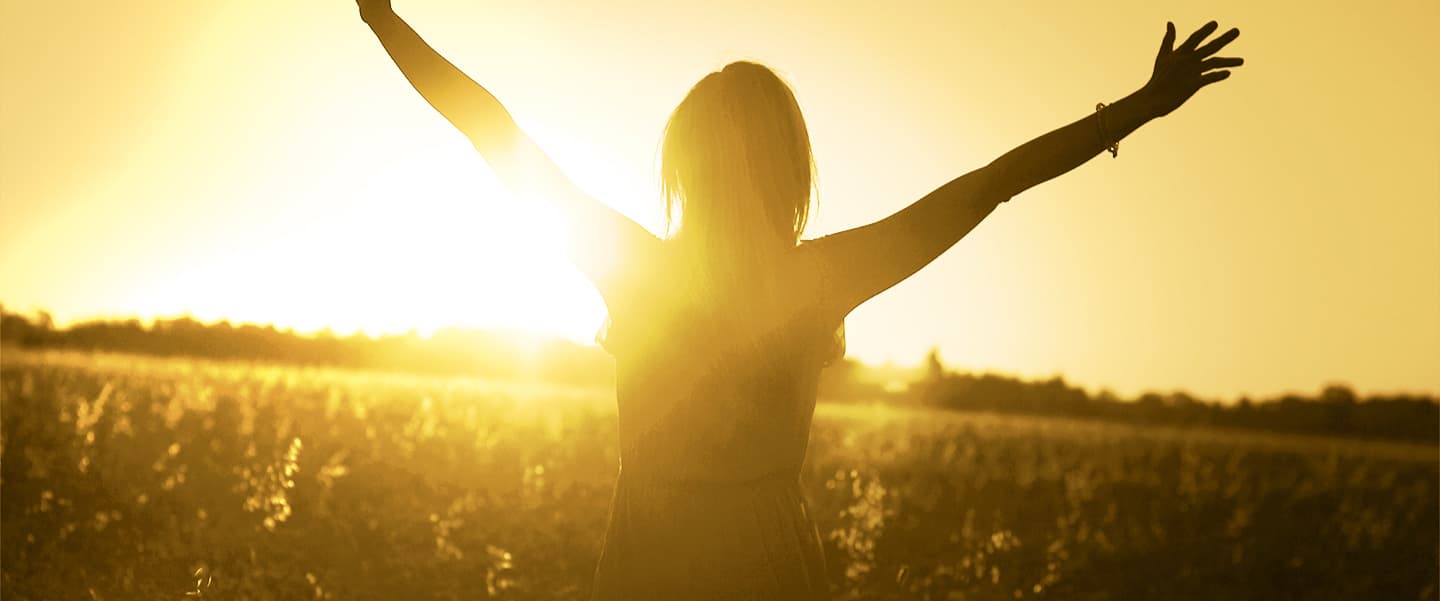 Sunlit field representing recovery and clarity